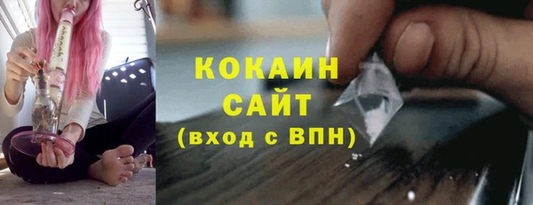 СК Бронницы