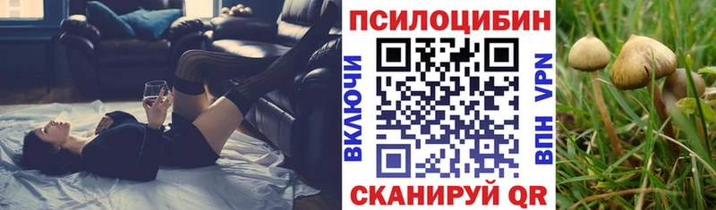 Псилоцибиновые грибы прущие грибы мега сайт Острогожск
