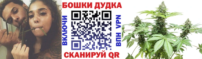 кракен ссылки  Острогожск  Канабис SATIVA & INDICA 